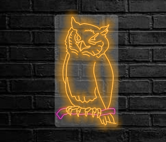 Night Owl LED Light